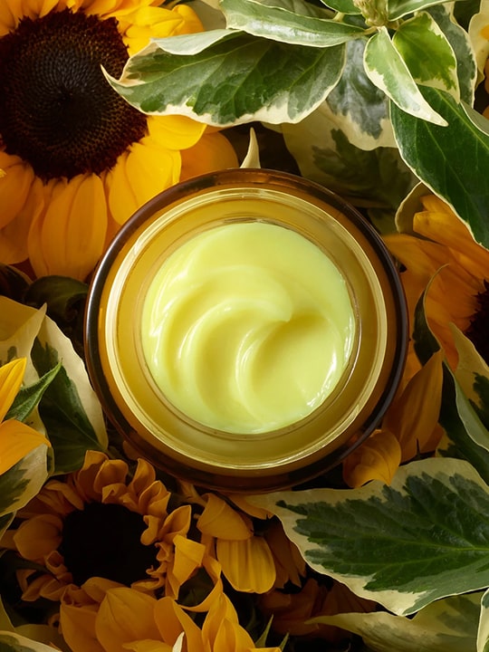 Perfecting Facial Oil - Image 3